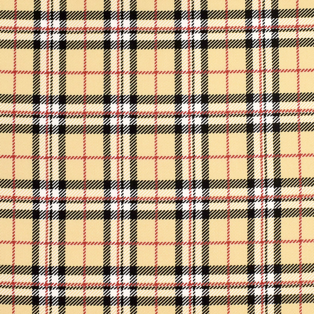 生地 ツイルチェックプリント(5000) 1A.ベージュ 09Bk22_