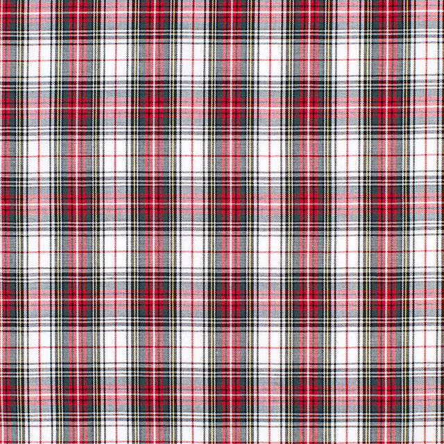 103.白×赤系ライン