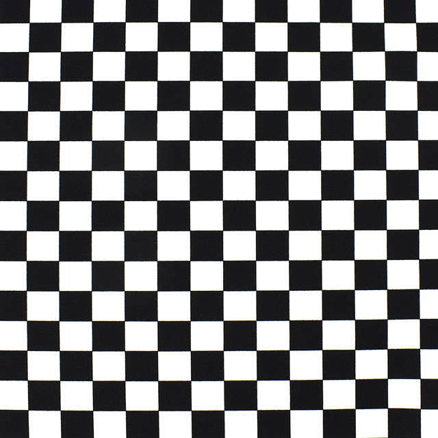 生地 ブロードフラッグチェック(88199Z) 3-1.白×ブラック 09Bk22_