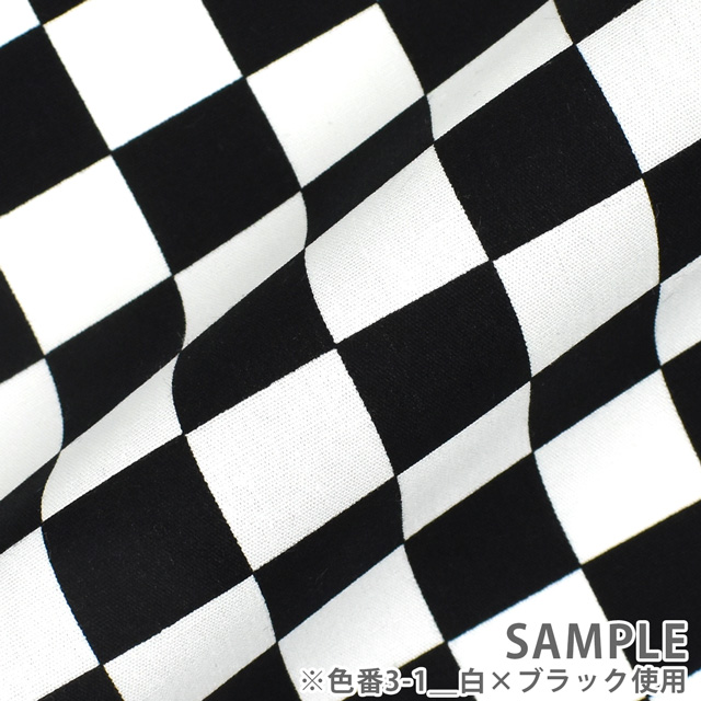 生地 ブロードフラッグチェック(88199Z) 3-1.白×ブラック 09Bk22_