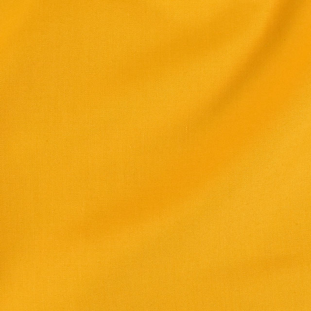 127.マスタードイエロー