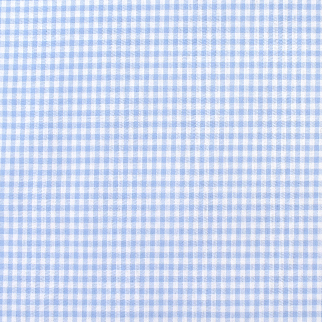 生地 交織ダンガリー チェック 小(AD46300) 83.ライトブルー 09Bk22_