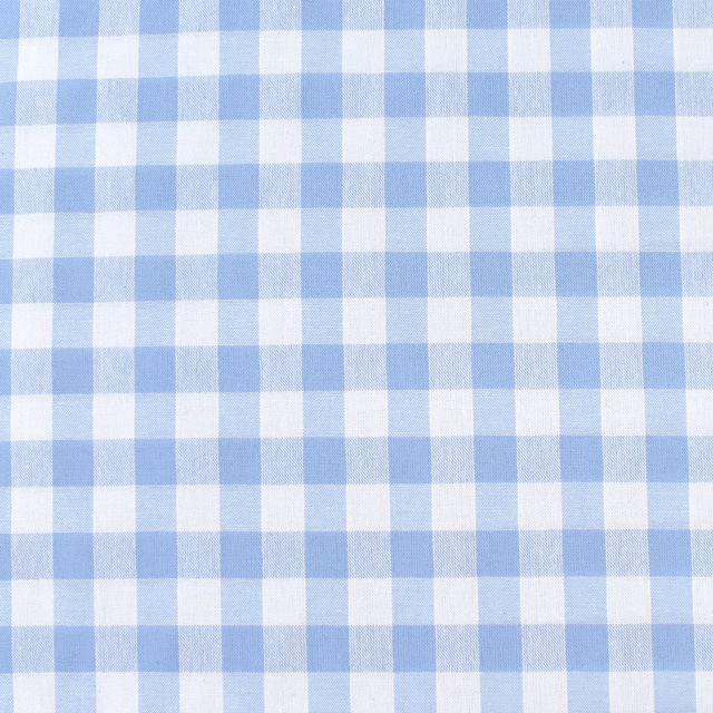 生地 交織ダンガリー チェック 大(AD46300) 323.ライトブルー 09Bk22_