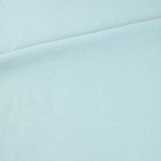 67.グレイッシュペールブルー