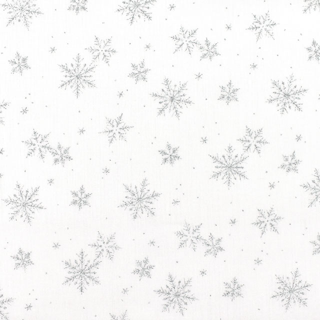 B.ホワイト×シルバー