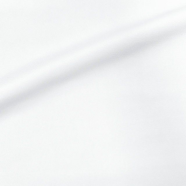 生地 地紋織 鮫小紋N OW.白 09Bh18_