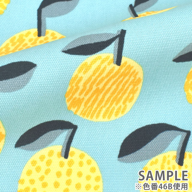 生地 kippis-キッピス- Mikan みかん/オックス(KPO) 46B.ミント 09Ac04j