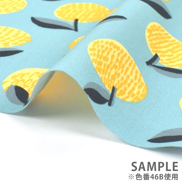 生地 kippis-キッピス- Mikan みかん/オックス(KPO) 46B.ミント 09Ac04j