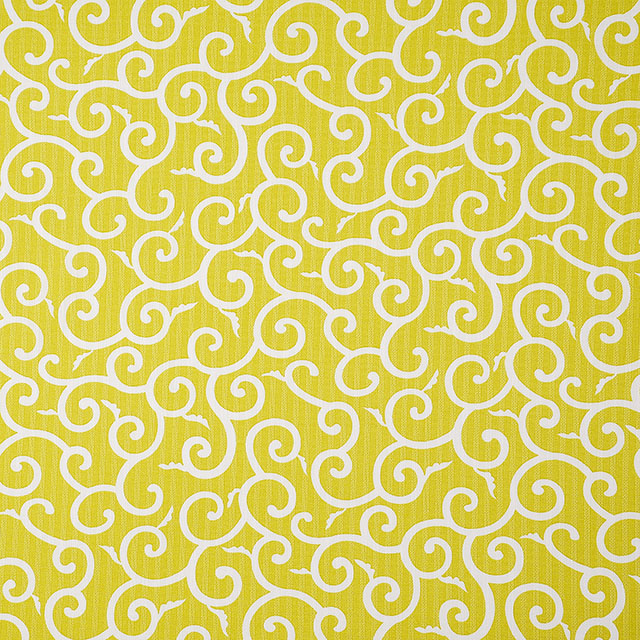 D.黄色地×白ライン