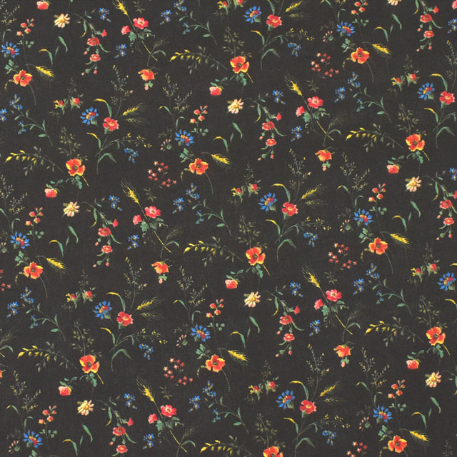 生地 LIBERTY FABRICS リバティ・ファブリックス タナローン 2023AW A LIBERTY ODYSSEY Emma Victoria エマ・ビクトリア(23-3633236) 23CT.ブラック 99Zz99j