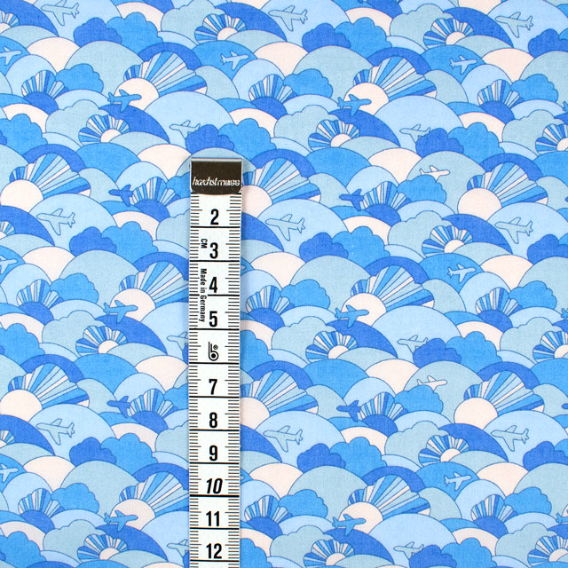 生地 LIBERTY FABRICS リバティ・ファブリックス タナローン 2025SS Retold 150th Anniversary Collection Far and Away ファー・アンド・アウェイ(25-3635160) 25BU.ブルー 09Ac03j