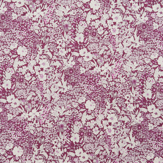 生地 LIBERTY FABRICS リバティ・ファブリックス タナローン エターナル Patrick Gordon(3801160) W 99Zz99j