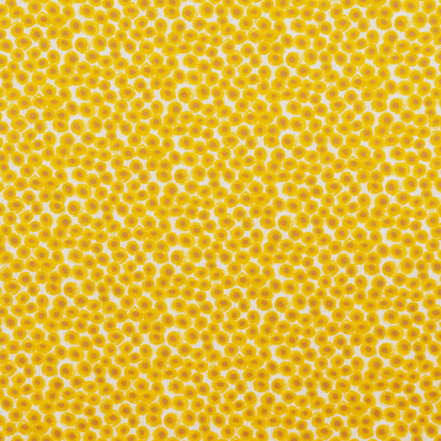 生地 LIBERTY FABRICS リバティ・ファブリックス タナローン エターナル Xanthe Sunbeam(3633151) A 09Ac03j