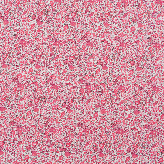 生地 LIBERTY-リバティ- タナローン エターナル Emma and Georgina(3631251) K 99Zz99j