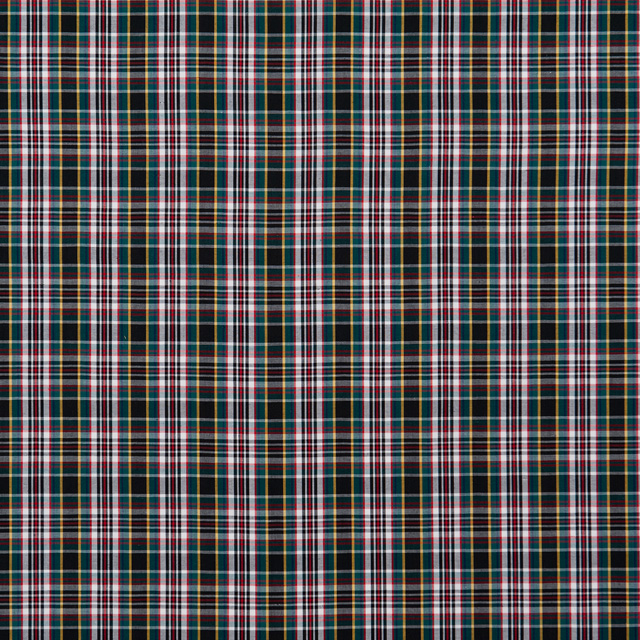 生地 LIBERTY FABRICS リバティ・ファブリックス タナローン エターナル チェック(3265100) 1 09Ac03j