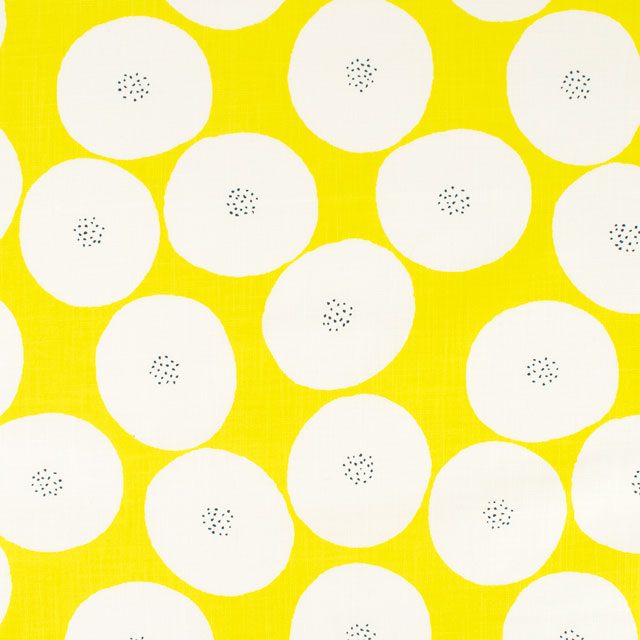 1E.イエロー×白