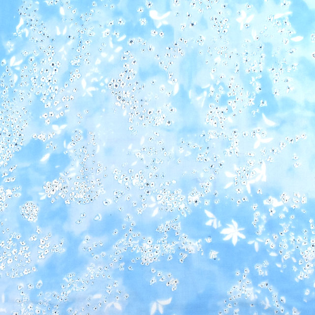 生地 naniIRO-ナニイロ- Lei nani/ダブルガーゼ(EGX-11060) A.ブルー系×パール 99Zz99_