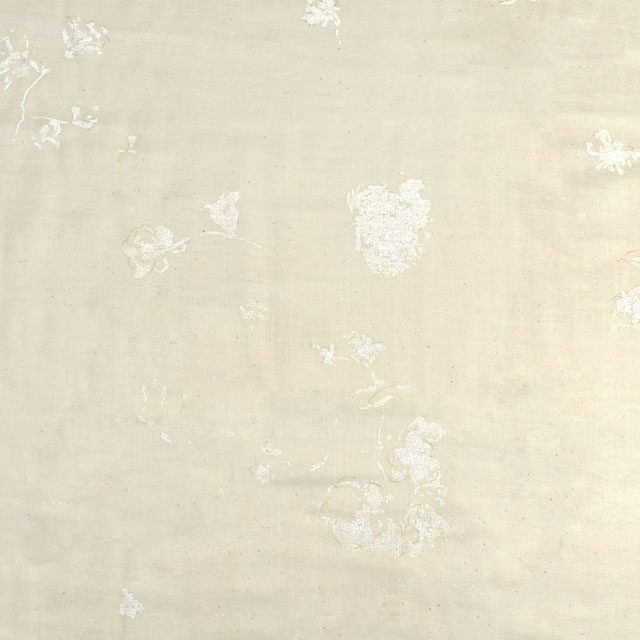 B.生成系×パール