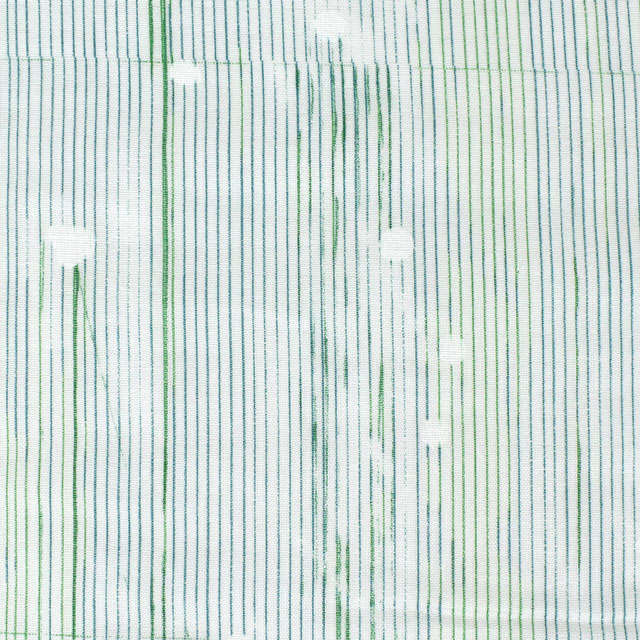 生地 naniIRO-ナニイロ- poesia visual/ダブルガーゼ(EGX-11160) 1A.ホワイト×グリーン/白ラッカー 99Zz99_