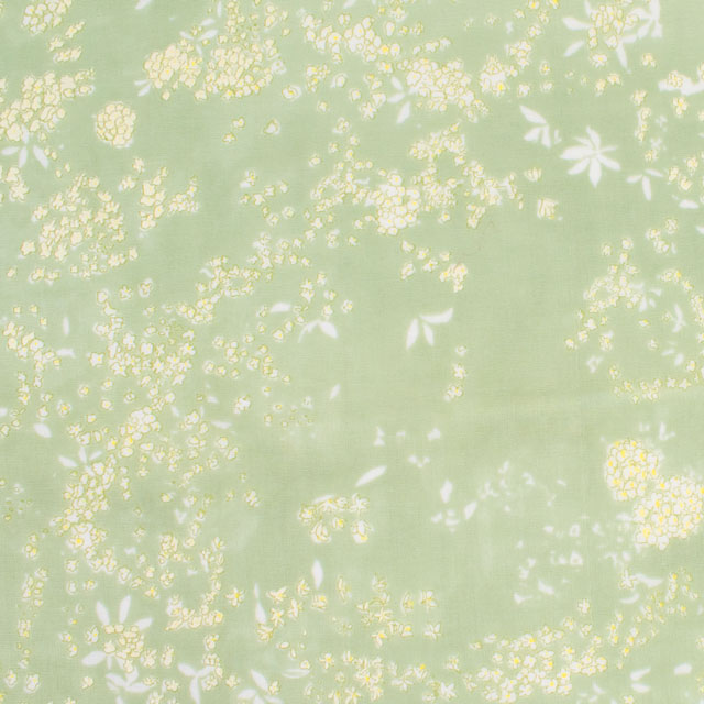 生地 naniIRO-ナニイロ- Lei nani/オーガニックダブルガーゼ(EGX-11330) 1C.グリーン×パール 99Zz99_