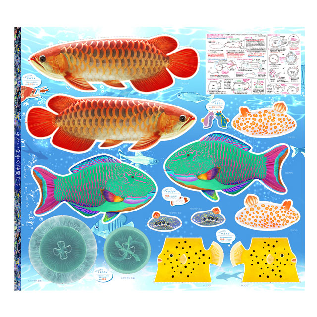 パネル販売生地 デジタルプリント ゆかいな水の仲間たち/シーチング アロワナ 09Ae99_