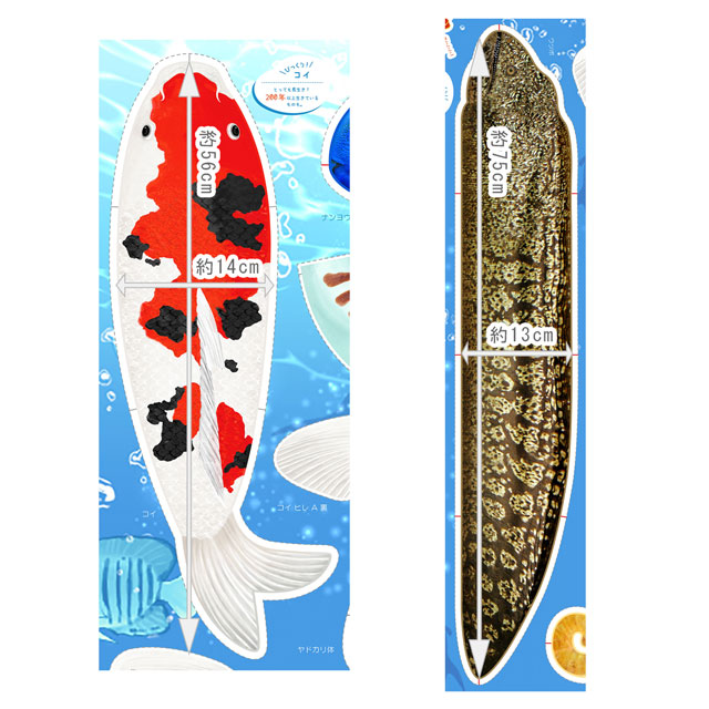 パネル販売生地 デジタルプリント ゆかいな水の仲間たち/シーチング コイ 009Ae99_