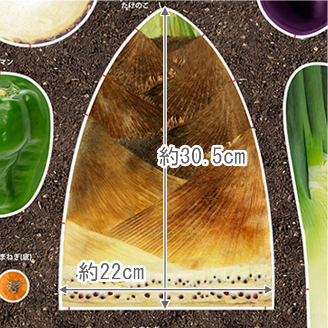 パネル販売生地 デジタルプリント 八百屋さん/シーチング(TAKENOKO) たけのこ 09Ae99_