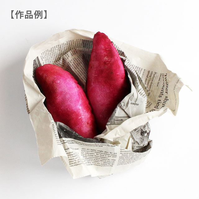 パネル販売生地 デジタルプリント 八百屋さん/シーチング(TAKENOKO) たけのこ 09Ae99_