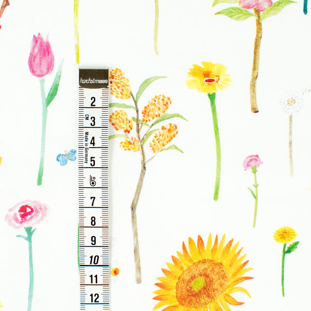 生地 Paper message-ペーパーメッセージ- 花の図鑑/シーチング(EGXA-8005) 2A.オフ 09Ac04_