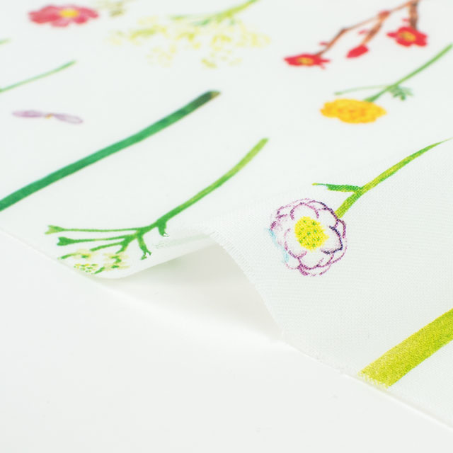 生地 Paper message-ペーパーメッセージ- 花の図鑑/シーチング(EGXA-8005) 2A.オフ 09Ac04_