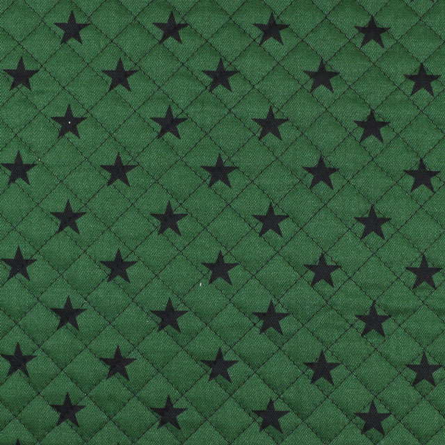 生地 ツイルプリント 星柄/キルティング(QKTS3681) 41.グリーン×ブラック 09Bi20_