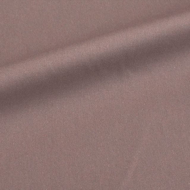 BB5.ブルーベリー