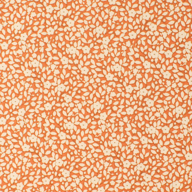 Ginger.ジンジャー