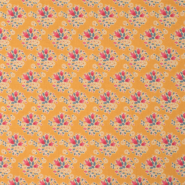 Saffron.サフラン