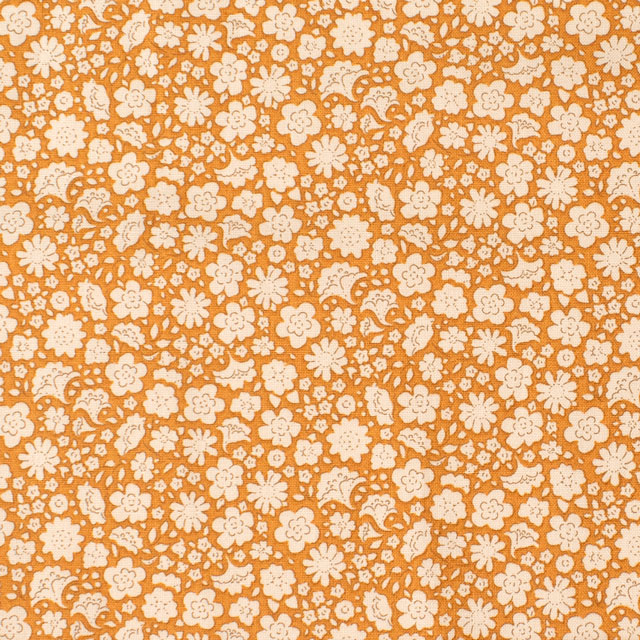 Saffron.サフラン