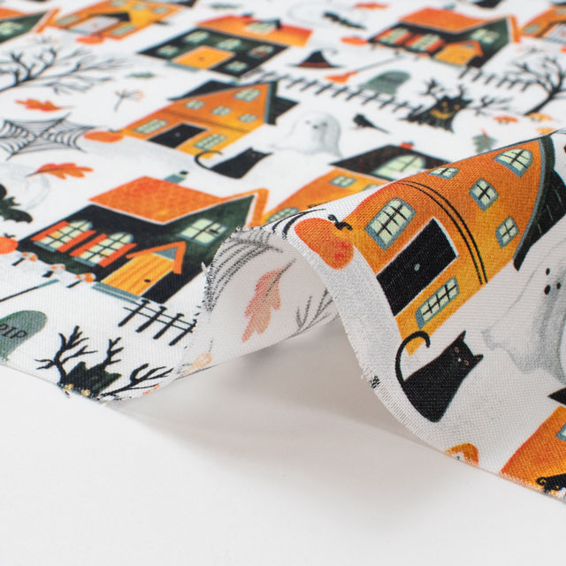 生地 TIMELESS TREASURES-タイムレストレジャー- HAUNTED HOUSE ホーンテッド・ハウス/シーチング(BOO-CD2930) WHITE.ホワイト 09Ac04_