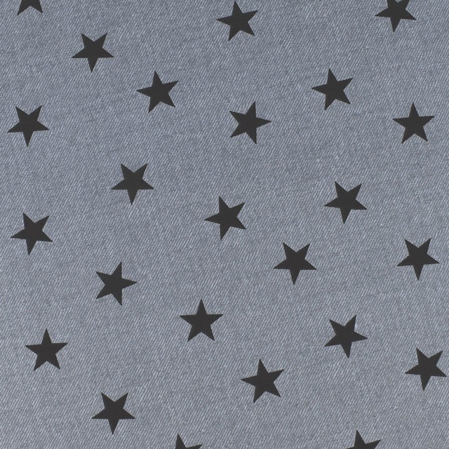 生地 Tip-Top ティップトップ 星/オックス(DT10412S) C.グレー 09Bk23_