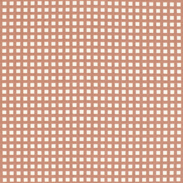 生地 Tip-Top Basic ティップトップ ベーシック 格子柄/オックス(DT10482S) D.ベージュ 09Bk22_