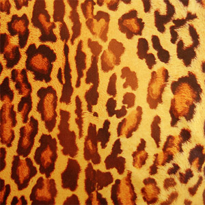 生地 2wayワイルドキャット 1.イエロー系 10Bl17_