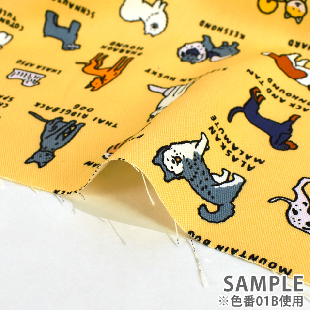 生地 ZERO PER ZERO ゼロパーゼロ DOG/オックス(ZPFO) 01B.イエロー 99Zz99_