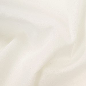 接着芯 ダンレーヌ(DR-444) 厚手ハードタイプ 白 09Cx49_