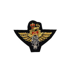 ワッペン エンブレム(No.9441) つばさ 08Bf99_