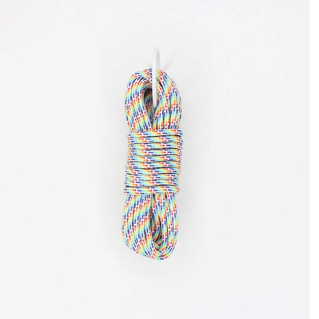 1638.レインボーカモ