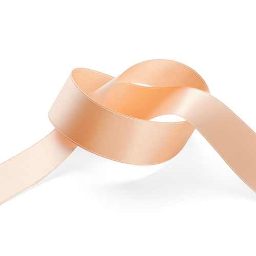 エリートサテンリボン(102) 24mm 139.ライトサーモン 07Aa99_