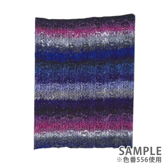 毛糸 野呂英作 シルクガーデン 色番556 06Co99_