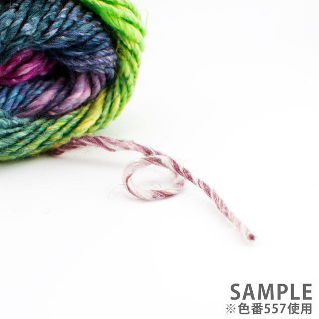 毛糸 野呂英作 シルクガーデン 色番556 06Co99_