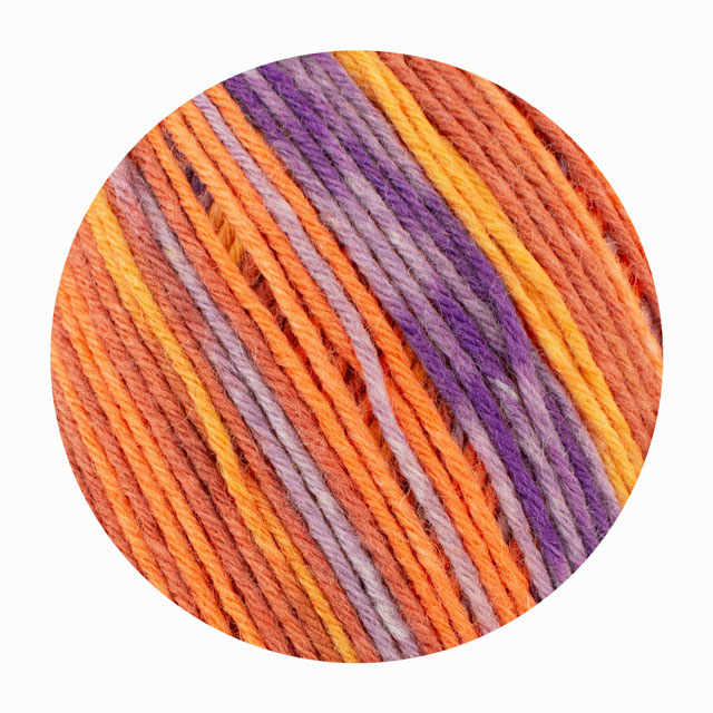 毛糸 Opal-オパール- パッション 6ply/6本撚り 11374.熱意 06Co99j