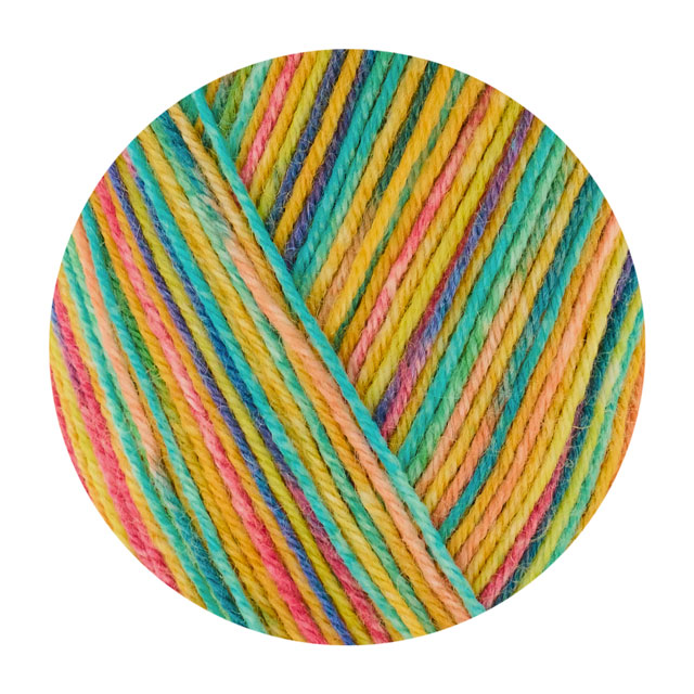 毛糸 Opal-オパール- お気に入りの場所 4ply/4本撚り 11461.森の長イス 99Zz99j