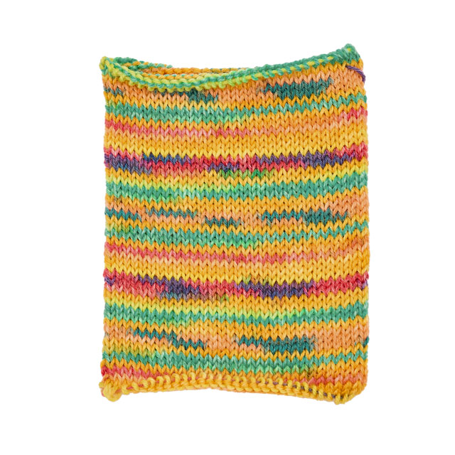 毛糸 Opal-オパール- お気に入りの場所 4ply/4本撚り 11461.森の長イス 99Zz99j