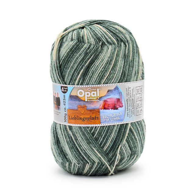 11465.冬のキャンプ場